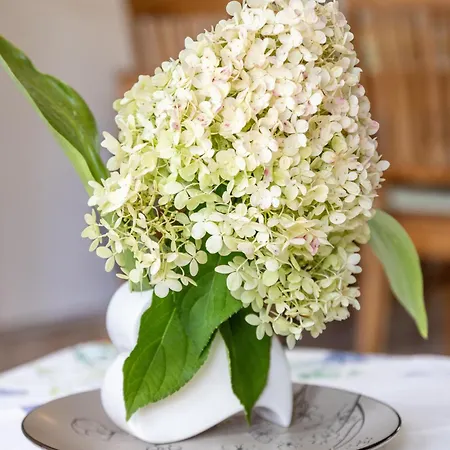 Haus Seestern קלקר