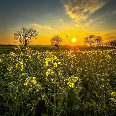 Semesterbostad Haus Seestern *