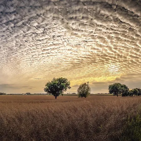 Haus Seestern בית נופש