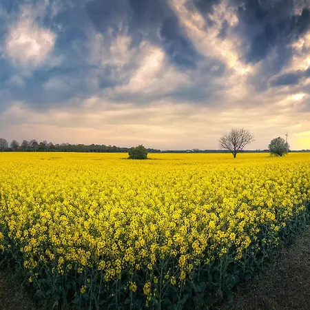 Semesterbostad Haus Seestern