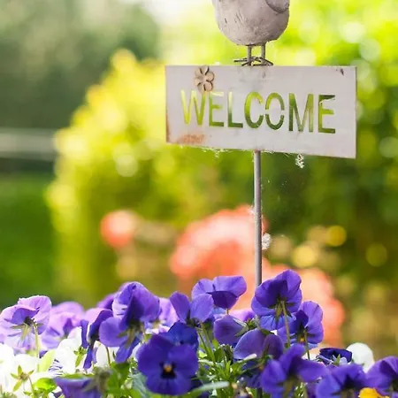 Haus Seestern בית נופש