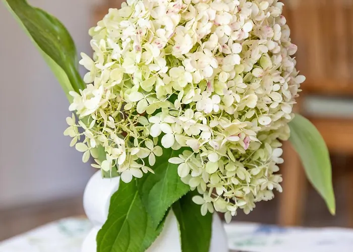 Haus Seestern Калькар