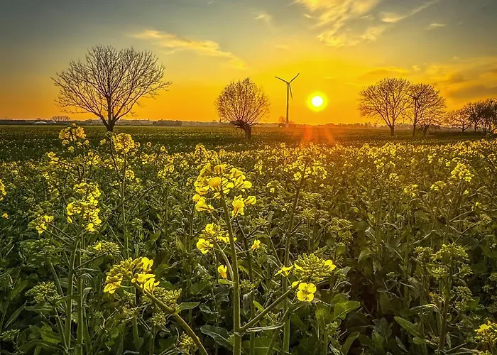 度假居 Haus Seestern *