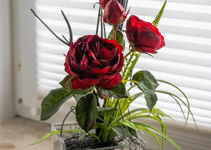 Haus Seestern 卡尔卡尔