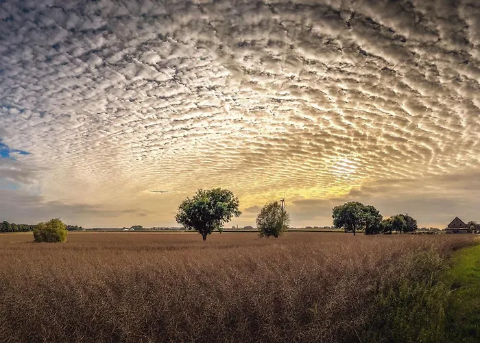 Haus Seestern Дом отдыха