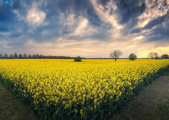 度假居 Haus Seestern