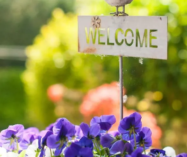 Haus Seestern Дом отдыха